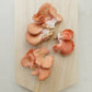 Foragers Galley - Pink Oyster Mushroom Grow-at-Home Kit