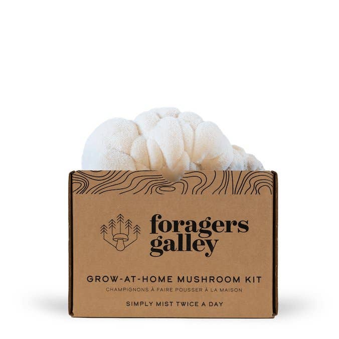 Foragers Galley - Lion's Mane Mushroom Grow-at-Home Kit