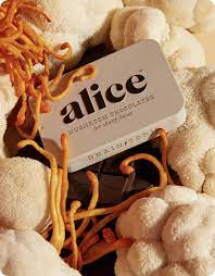 Alice - Decadent & Functional Chocolate Mushrooms