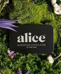 Alice - Decadent & Functional Chocolate Mushrooms