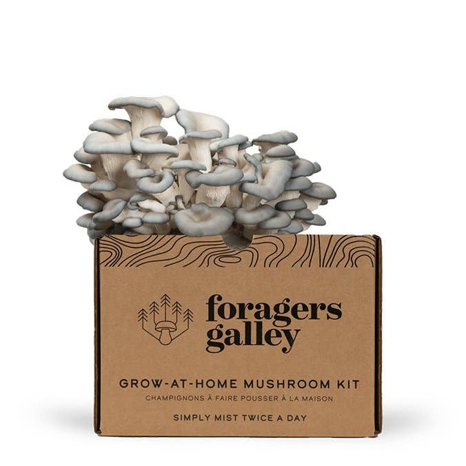 Foragers Galley - Blue Oyster Mushroom Grow-at-Home Kit